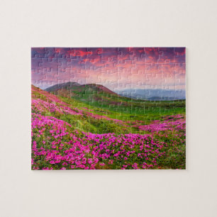 Quebra-cabeça Paisagem bonita de 8" x 10"