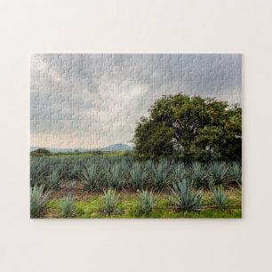 Quebra-cabeça Paisagem com agave azul
