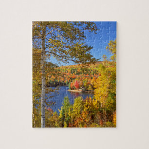Quebra-cabeça Paisagem de árvore de outono, Maine