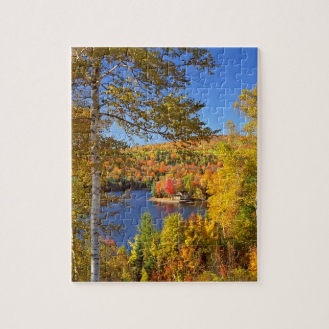 Quebra-cabeça Paisagem de árvore de outono, Maine (Vertical)