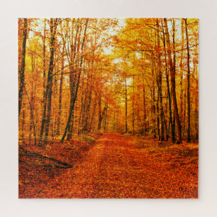 Quebra-cabeça Paisagem de Autumn Way