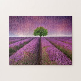 Quebra-cabeça Paisagem de campo lavanda — Verão — Sunset