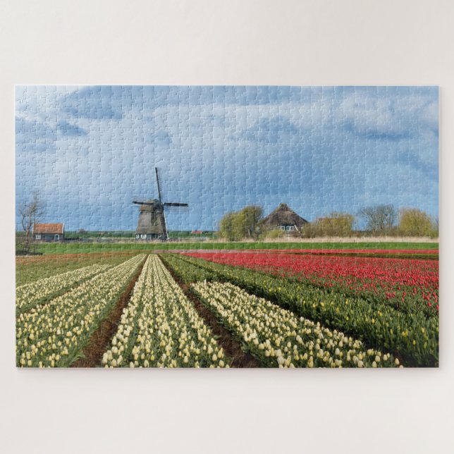 Quebra-cabeça Paisagem de moinhos e tulipas na Holanda (Horizontal)