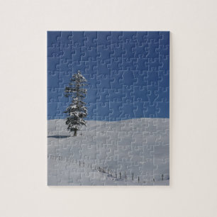 Quebra-cabeça Paisagem fria nevado 4 do inverno