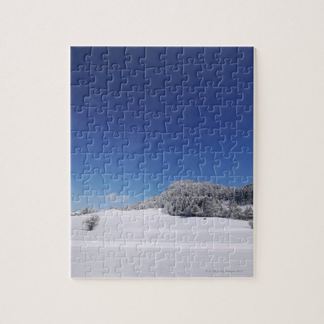 Quebra-cabeça Paisagem fria nevado 6 do inverno (Vertical)