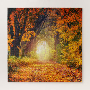 Quebra-cabeça Paisagem solar de floresta em queda 20" x 20"