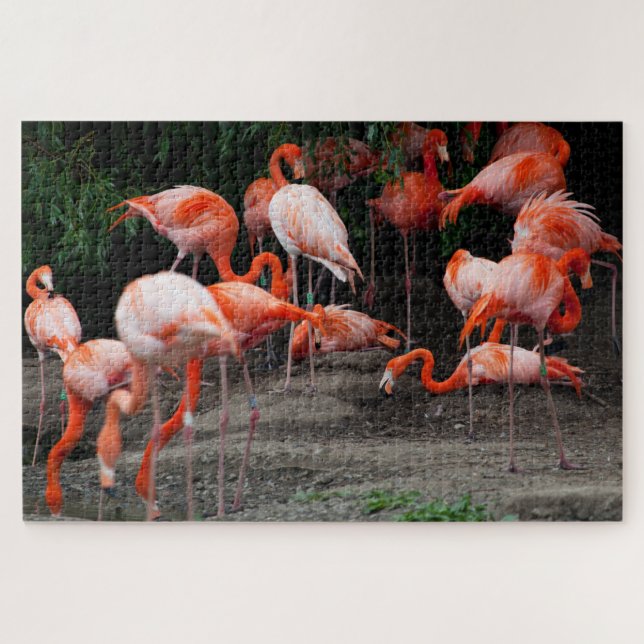 Quebra-cabeça Paisagem tropical Cena Flamingo Jigsera Quebra-cab (Horizontal)