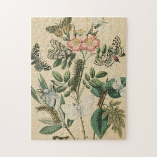 Quebra-cabeça Palcos da vida da borboleta pelo Vision Studio