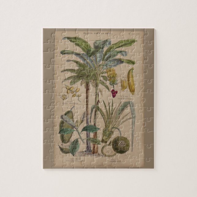 Quebra-cabeça Palm Antique Fruta Tropical Arte Botânica (Vertical)