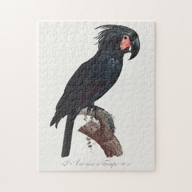 Quebra-cabeça Palm Cockatoo, Probosciger aterrimus Parrot (Vertical)