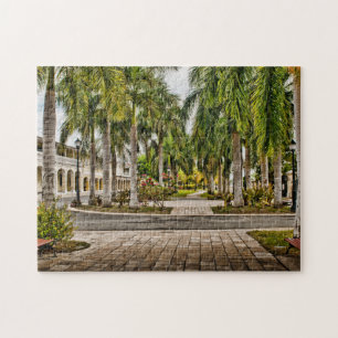 Quebra-cabeça Palm Trees Históricas Frederiksted Ilhas Virgens d