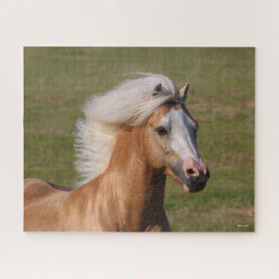 Quebra-cabeça Palomino Welsh Pony, Maneiro Fluindo