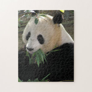 Quebra-cabeça Panda