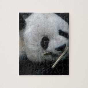 Quebra-cabeça Panda