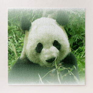 Quebra-cabeça Panda - Arte Animal