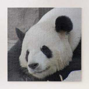Quebra-cabeça panda gigante