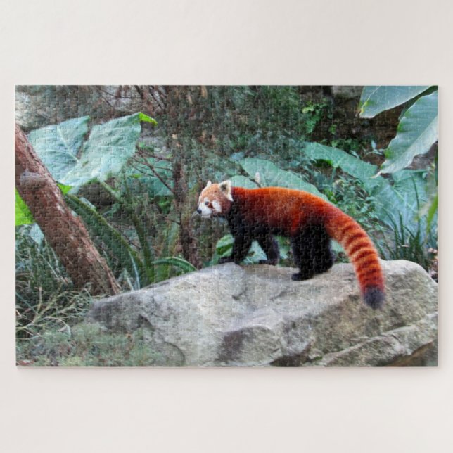 Quebra-cabeça panda vermelha (Horizontal)