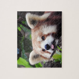 Quebra-cabeça Panda vermelha