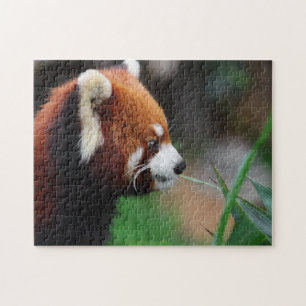 Quebra-cabeça Panda vermelha