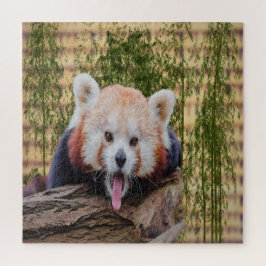 Quebra-cabeça Panda Vermelha bobo
