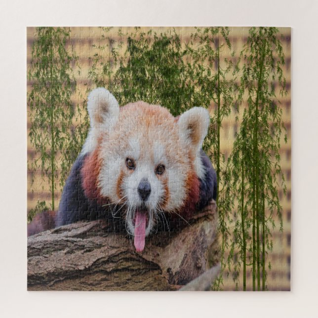 Quebra-cabeça Panda Vermelha bobo (Vertical)
