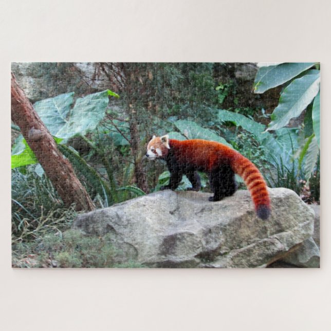 Quebra-cabeça panda-vermelho (Horizontal)