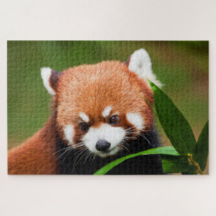 Quebra-cabeça Panda Vermelho Fofo