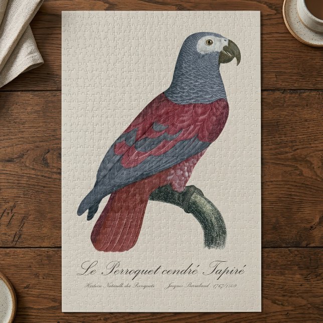 Quebra-cabeça Papagaio Cinzento Africano Fator Vermelho Psittacu (African Grey Parrot Red Factor Psittacus Erithacus. Jigsaw Puzzle)