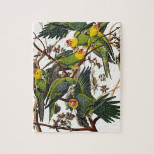 Quebra-cabeça Papagaio de Carolina - John James Audubon