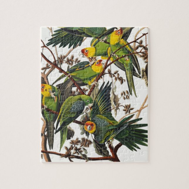 Quebra-cabeça Papagaio de Carolina - John James Audubon (Vertical)