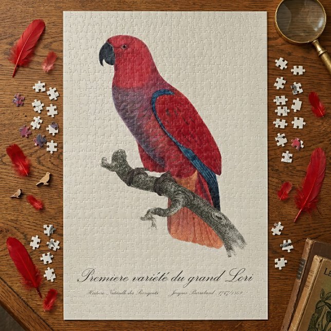 Quebra-cabeça Papagaio-do-molque-vosmaer, Eclectus Roratus Vosma (Vosmaer Eclectus Parrot, Eclectus Roratus Vosmaeri. Jigsaw Puzzle)