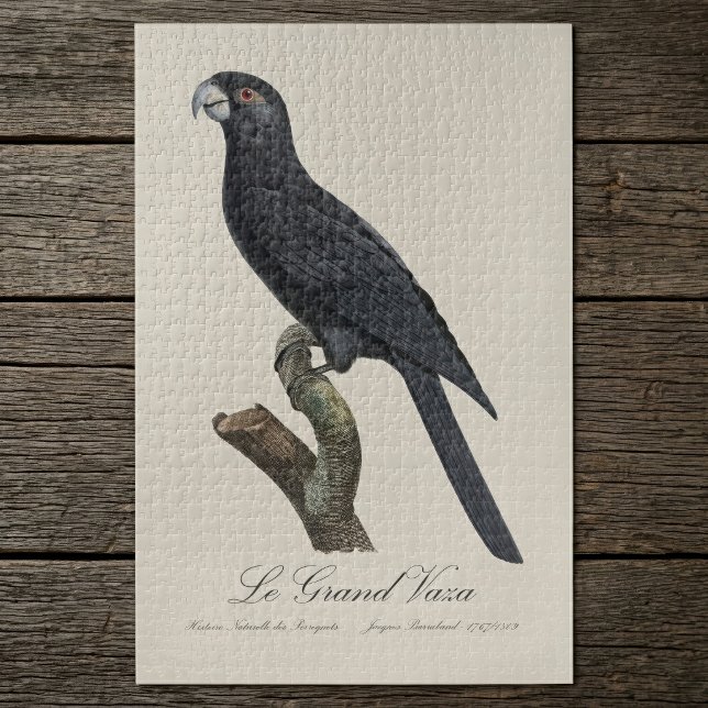 Quebra-cabeça Papagaio-do-vasa-maior, Coracopsis Vasa Ilustração (Greater Vasa Parrot, Coracopsis Vasa Illustration. Jigsaw Puzzle)
