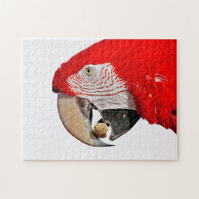 Quebra-cabeça Papagaio Vermelho com amendoim (Horizontal)