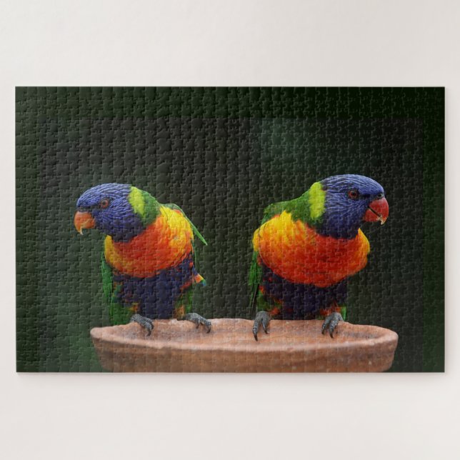 Quebra-cabeça Papagaios de Lorikeet do arco-íris (Horizontal)