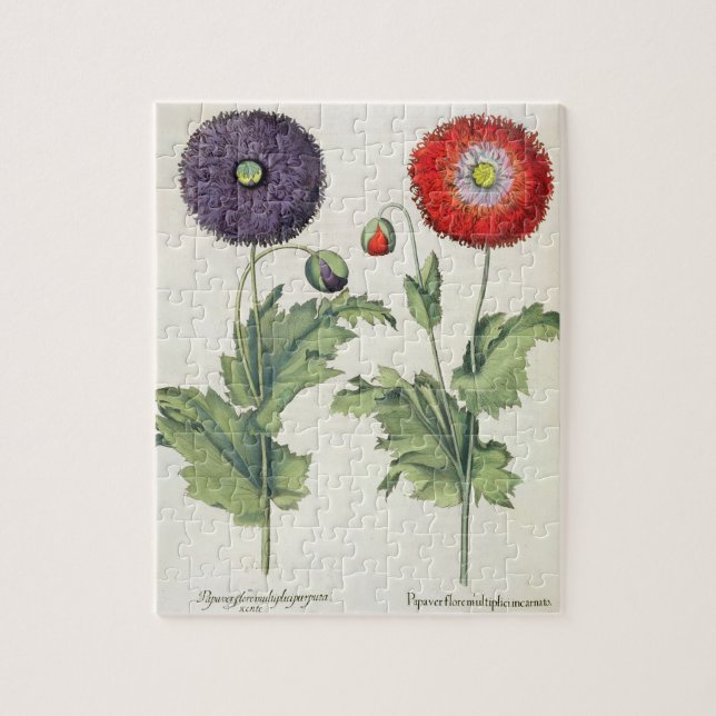 Quebra-cabeça Papoilas: incarnato do multiplici do flore (Vertical)