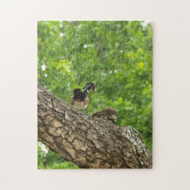 Quebra-cabeça Pappa Woodduck