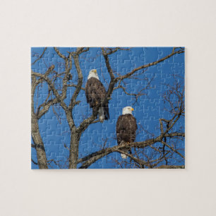 Quebra-cabeça Par Bald Eagle