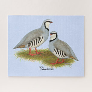 Quebra-cabeça Par de Chukar Partridge