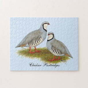 Quebra-cabeça Par de Chukar Partridge