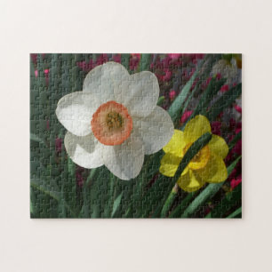 Quebra-cabeça Par de Daffodils Flores Rosa e Amarelo