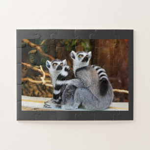 Quebra-cabeça Par de Lemur