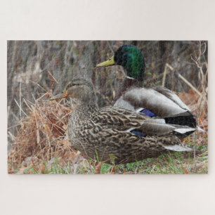 Quebra-cabeça Par de Patos de Mallard