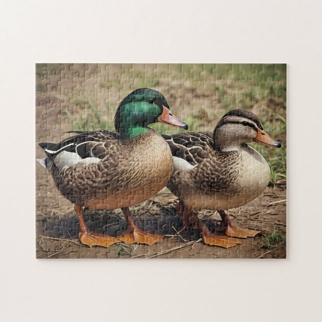 Quebra-cabeça Par de Patos-Reais (Horizontal)