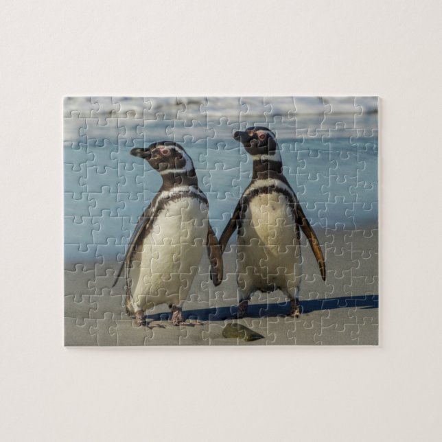 Quebra-cabeça Par de pinguins na praia (Horizontal)