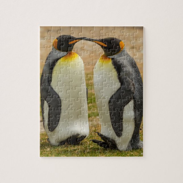 Quebra-cabeça Par de pinguins-reis, Ilhas Falkland (Vertical)