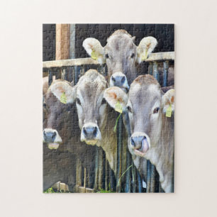 Quebra-cabeça Para Baixo Nas Vacas De Fazenda