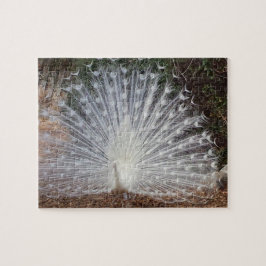 Quebra-cabeça Paradise Peacock