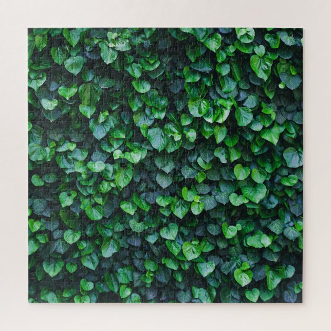 Quebra-cabeça Parede verde de Ivy: superfície natural. (Vertical)