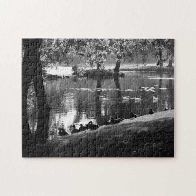 Quebra-cabeça Park Life 11x14 252pc jpcna (Horizontal)
