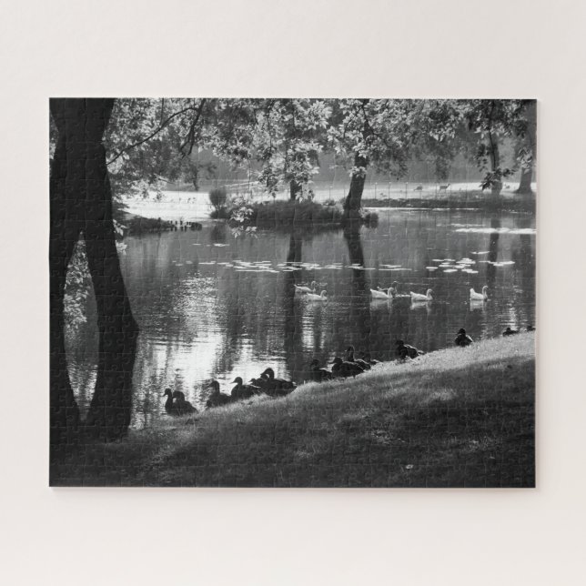 Quebra-cabeça Park Life 16x20 520pc jpcna (Horizontal)